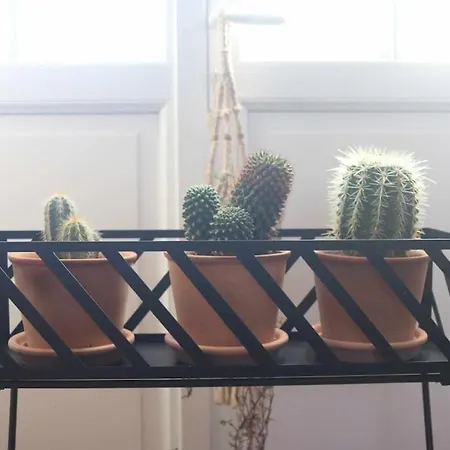 La Maison Benastre Saint-Etienne-de-Corcoue