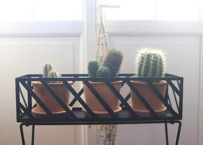 La Maison Benastre Saint-Etienne-de-Corcoue